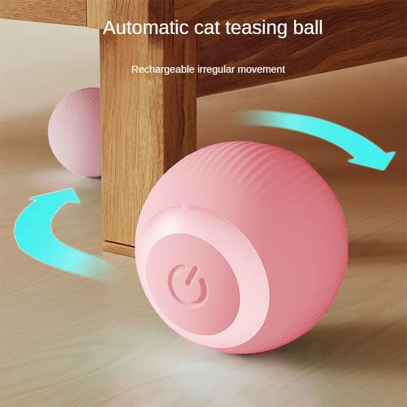 Rechargeable Cat Toy