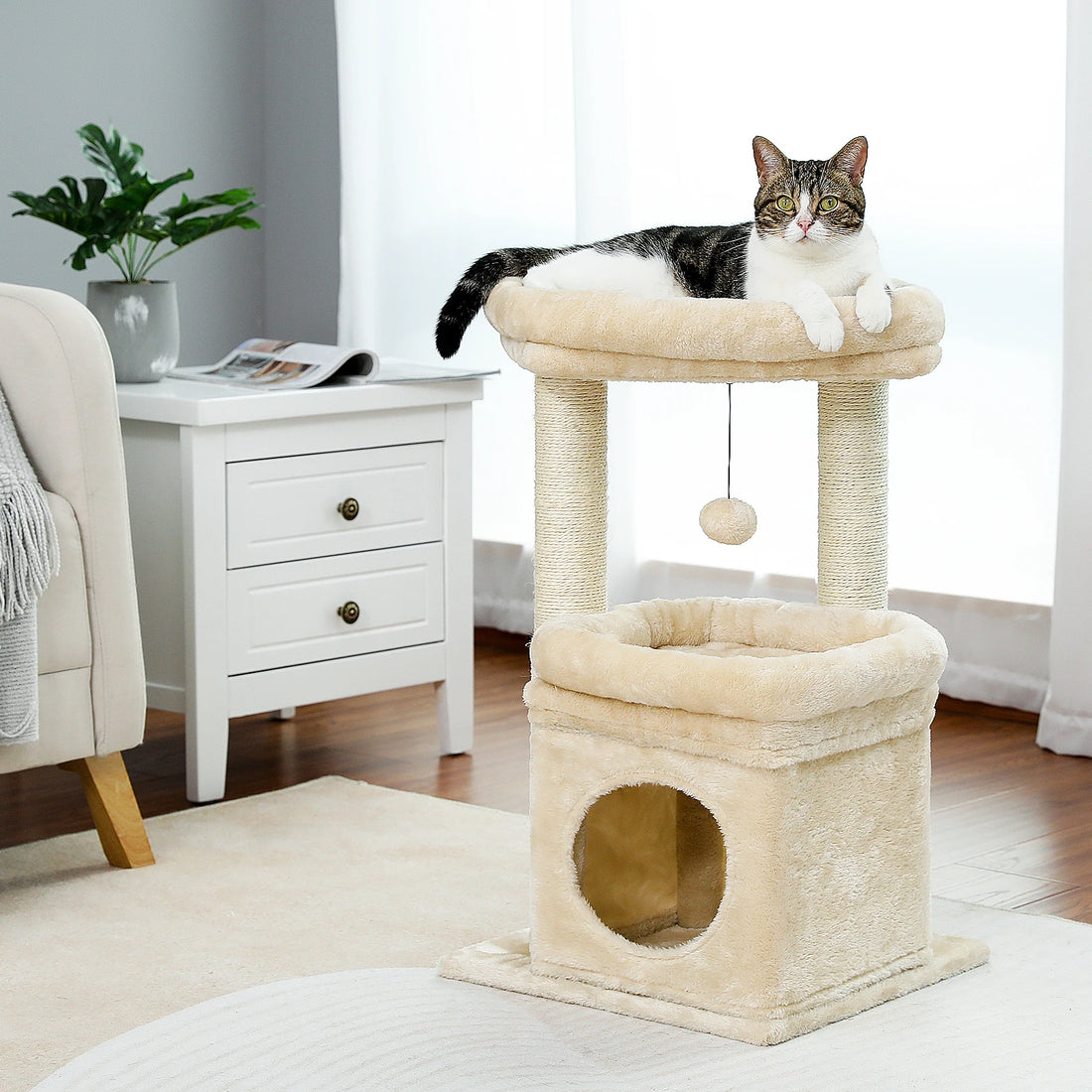 Cozy Cat Condo Tower