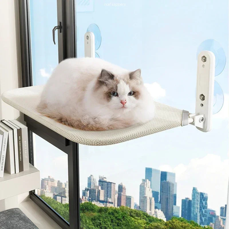 Window Hammock Haven