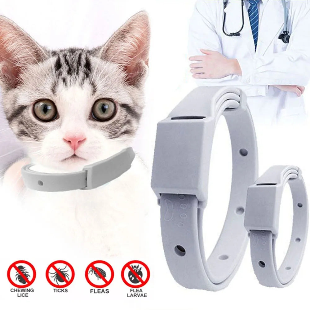 Cat Breakaway Tick Shield Collar